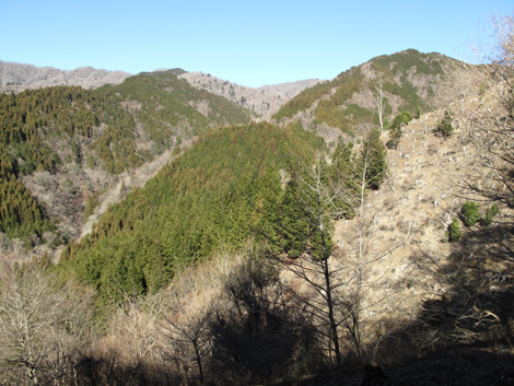 20190121hike (203)